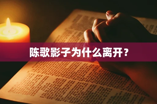 陈歌影子为什么离开？