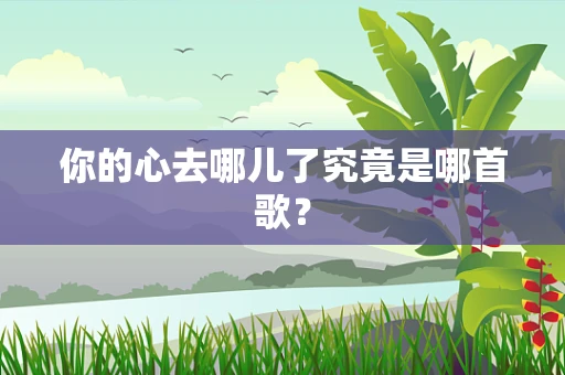 你的心去哪儿了究竟是哪首歌？
