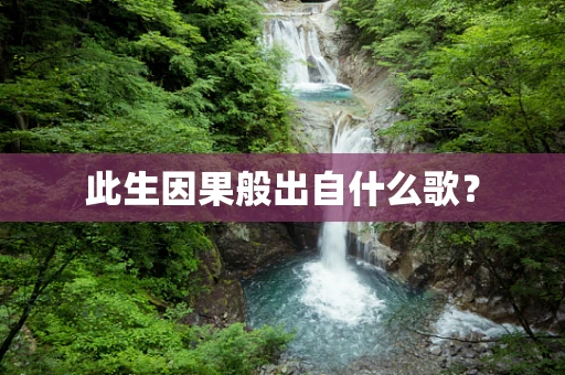 此生因果般出自什么歌？