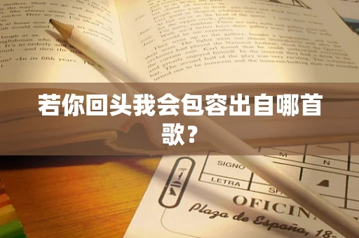 若你回头我会包容出自哪首歌？