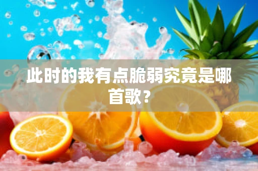 此时的我有点脆弱究竟是哪首歌？