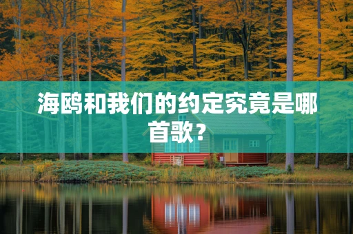 海鸥和我们的约定究竟是哪首歌？