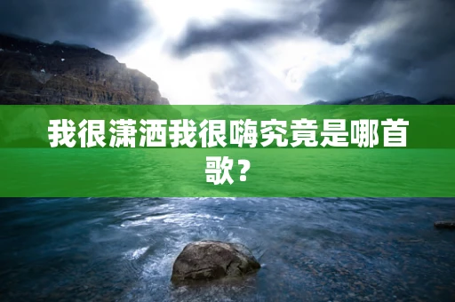 我很潇洒我很嗨究竟是哪首歌？