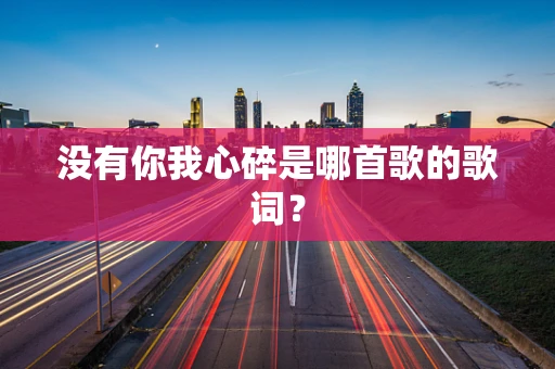 没有你我心碎是哪首歌的歌词？