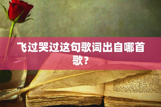 飞过哭过这句歌词出自哪首歌？