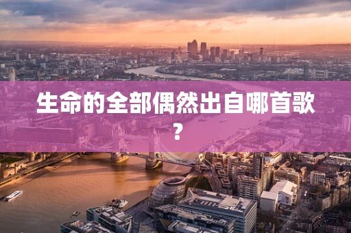 生命的全部偶然出自哪首歌？