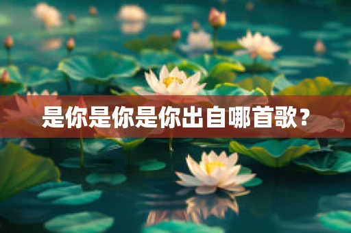 是你是你是你出自哪首歌？