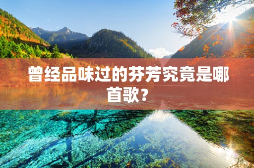 曾经品味过的芬芳究竟是哪首歌？