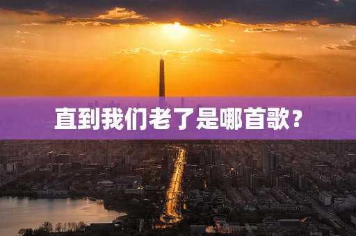 直到我们老了是哪首歌？