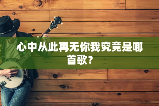 心中从此再无你我究竟是哪首歌？