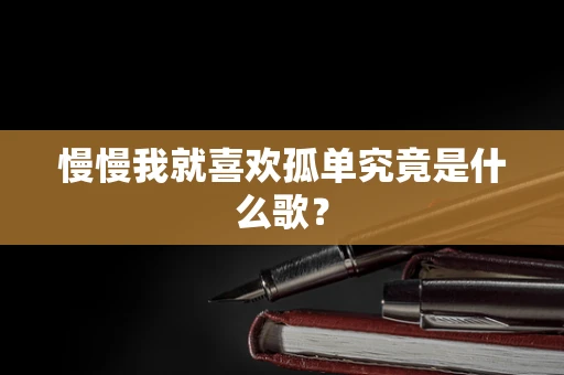 慢慢我就喜欢孤单究竟是什么歌？