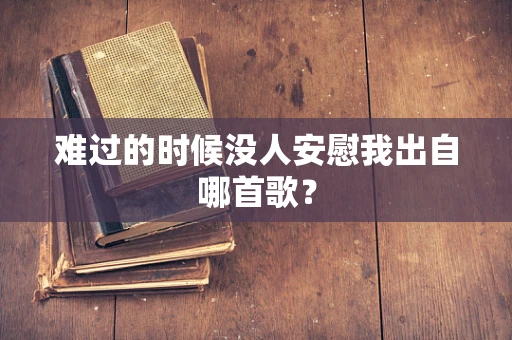 难过的时候没人安慰我出自哪首歌？