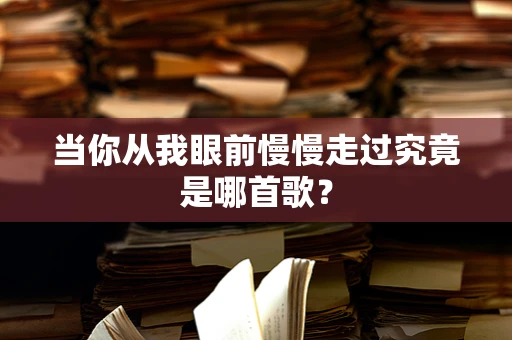 当你从我眼前慢慢走过究竟是哪首歌？