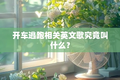 开车逃跑相关英文歌究竟叫什么？