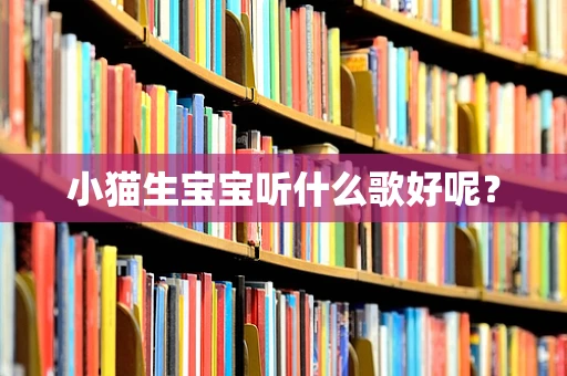 小猫生宝宝听什么歌好呢？