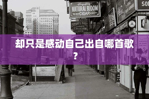 却只是感动自己出自哪首歌？