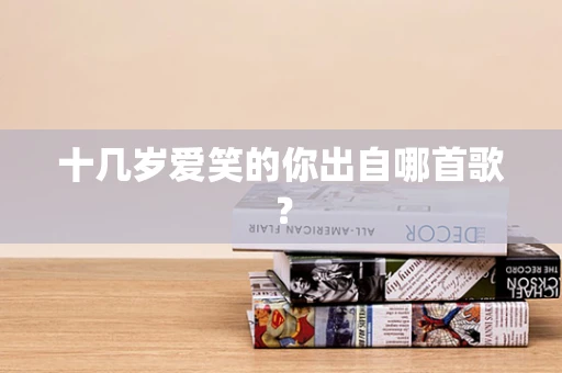 十几岁爱笑的你出自哪首歌？