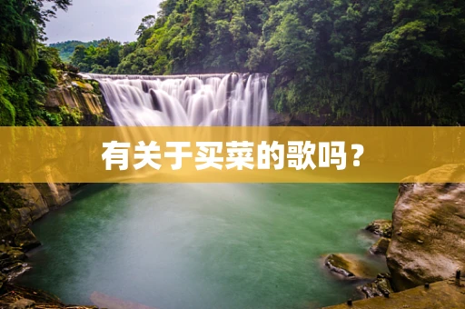 有关于买菜的歌吗？