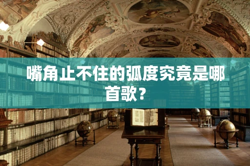 嘴角止不住的弧度究竟是哪首歌？