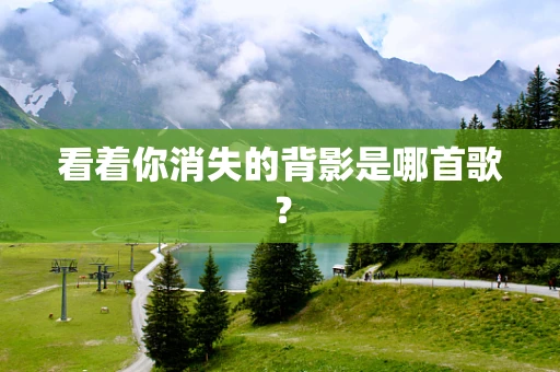 看着你消失的背影是哪首歌？