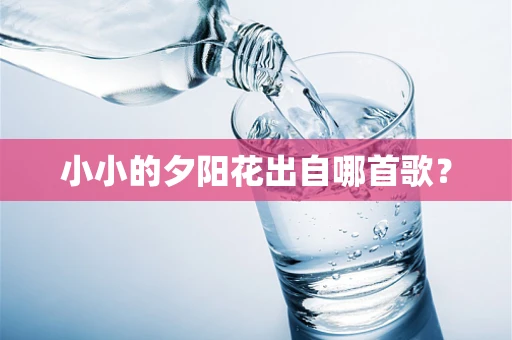 小小的夕阳花出自哪首歌？