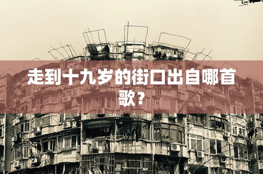 走到十九岁的街口出自哪首歌？