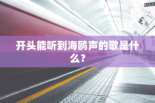 开头能听到海鸥声的歌是什么？