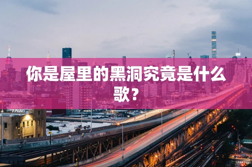 你是屋里的黑洞究竟是什么歌？