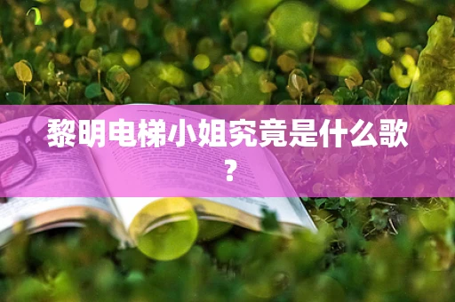 黎明电梯小姐究竟是什么歌？