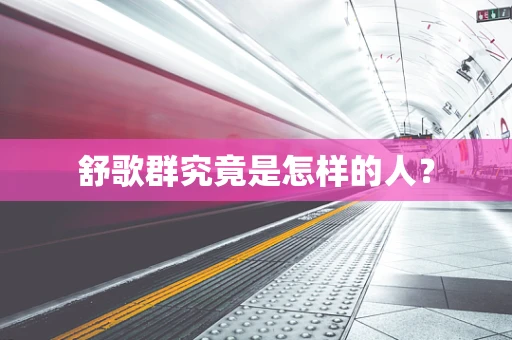 舒歌群究竟是怎样的人？
