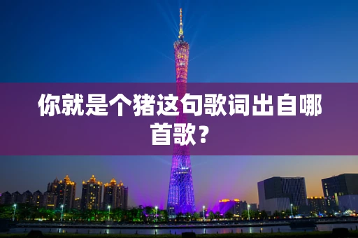 你就是个猪这句歌词出自哪首歌？