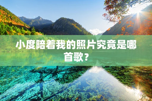 小度陪着我的照片究竟是哪首歌？