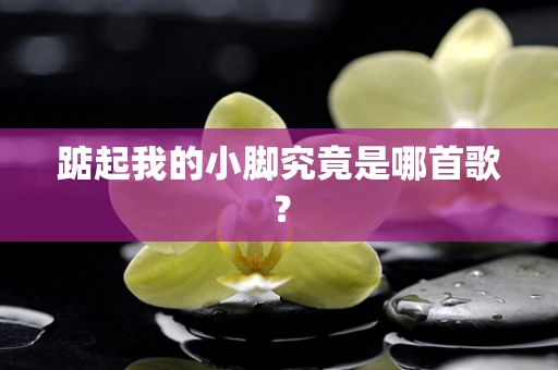 踮起我的小脚究竟是哪首歌？