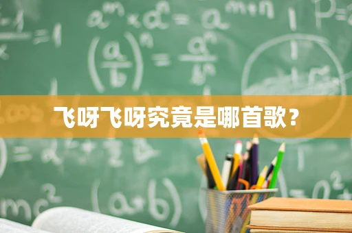 飞呀飞呀究竟是哪首歌？