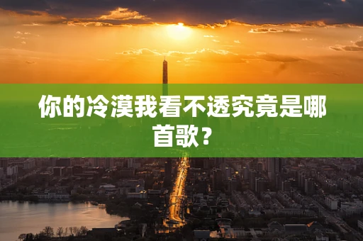 你的冷漠我看不透究竟是哪首歌？