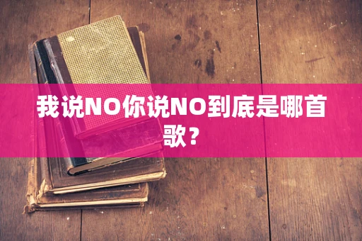 我说NO你说NO到底是哪首歌？