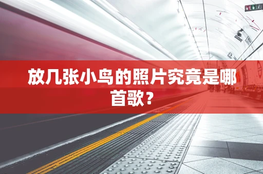 放几张小鸟的照片究竟是哪首歌？
