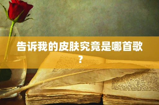 告诉我的皮肤究竟是哪首歌？