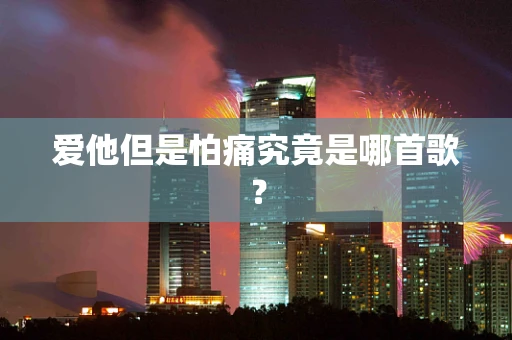 爱他但是怕痛究竟是哪首歌？