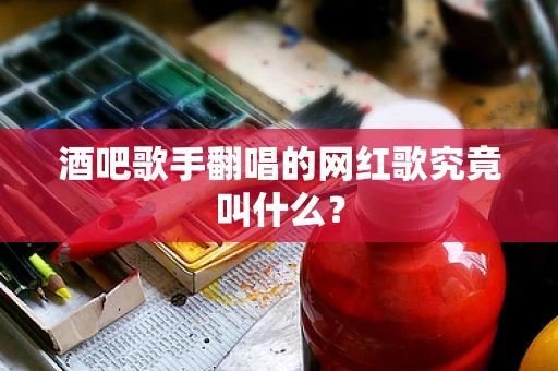 酒吧歌手翻唱的网红歌究竟叫什么？