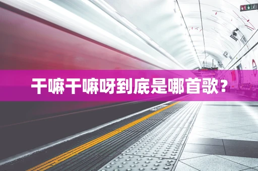 干嘛干嘛呀到底是哪首歌？