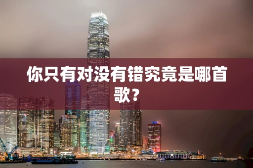 你只有对没有错究竟是哪首歌？