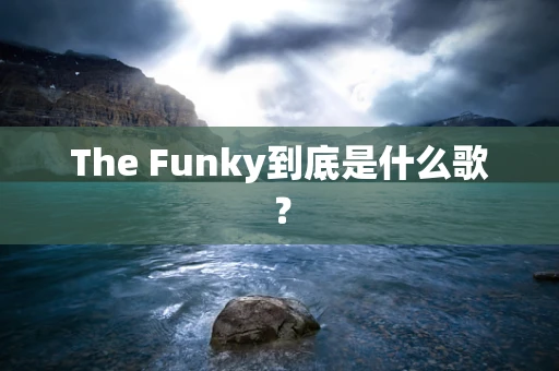 The Funky到底是什么歌？