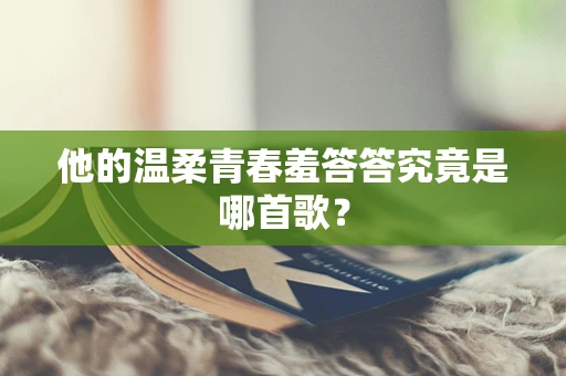 他的温柔青春羞答答究竟是哪首歌？