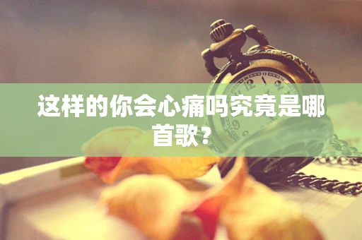 这样的你会心痛吗究竟是哪首歌？