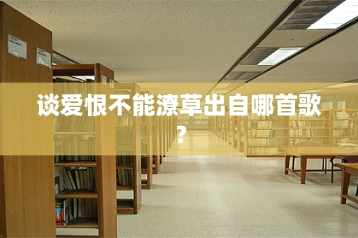 谈爱恨不能潦草出自哪首歌？