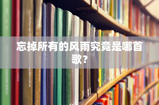 忘掉所有的风雨究竟是哪首歌？
