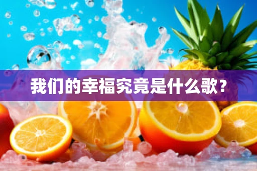 我们的幸福究竟是什么歌？