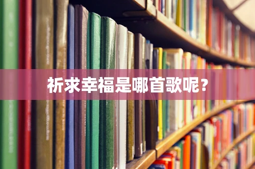 祈求幸福是哪首歌呢？