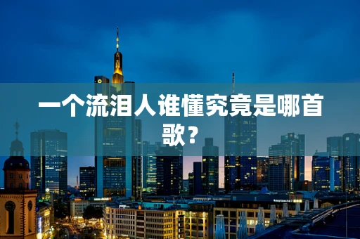 一个流泪人谁懂究竟是哪首歌？